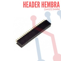 Header Hembra Doble 2.54mm x 40 pines