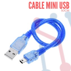 Cable USB A Mini USB (30cm)