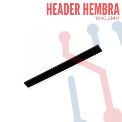 Header hembra 2mm x 40 pines