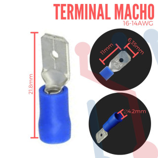 Terminal Macho Azul  Aislada AWG 16-14