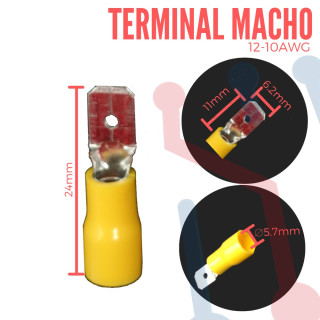 Terminal Macho Amarilla  Aislada AWG  12-10