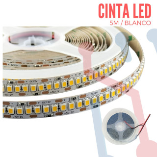 Cinta LED 2835 Blanco Frio 12VDC  240 Led's (5 Metros)