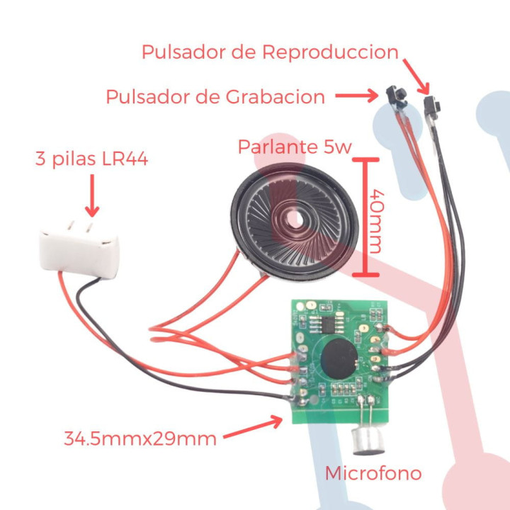 Modulo Grabador de Voz 120S
