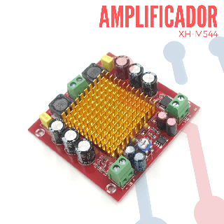 Amplificador Mono 150W (XH-M544)