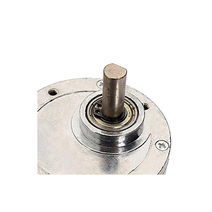 Motorreductor de Alto Torque 12V 50RPM 47Kg