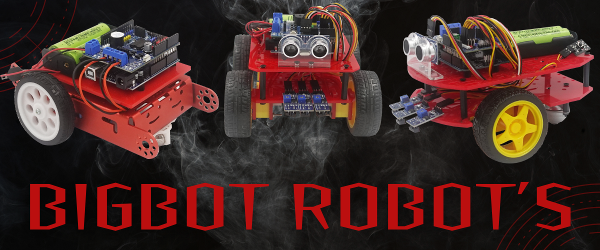 BIGBOT ROBOT